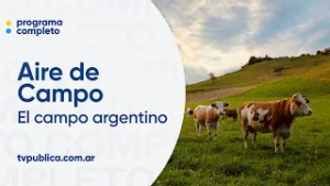 El campo argentino en 2025: claves para entender su presente y futuro - Aire de Campo