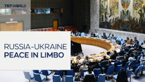 UN Security Council paralysed as Ukraine war enters fifth year