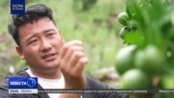 The story of a young official dedicated to transforming a remote village in China