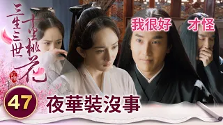 深情太子獨自承受斷臂之痛還假裝無事發生 只為了不讓老婆有負擔【三生三世十里桃花】精華 EP47-3 楊冪、趙又廷、迪麗熱巴、高偉光、張智堯 @ctvdrama_classic