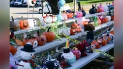 Weekend Happenings: October 16-18