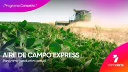 Soybean Production in Argentina - Aire de Campo Express