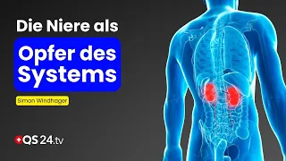 Early Detection of Kidney Insufficiency: Warning Signs, Root Causes, and Effective Prevention QS24