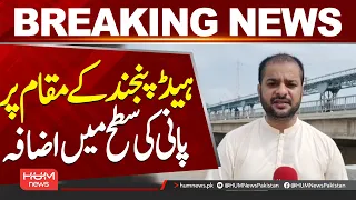 Water Level Rises at Head Panjnad | Flood Situation Raises Concern| Hum News | Pakistan