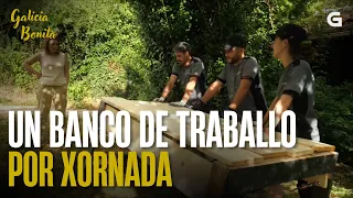 Un BANCO de traballo por XORNADA | GALICIA BONITA