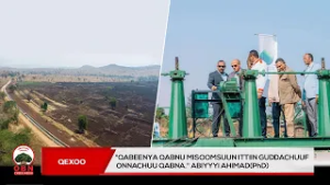 "Qabeenya qabnu misoomsuun ittiin guddachuuf onnachuu qabna." Abiyyyi Ahimad(PhD).