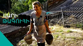 Ազիզ ռուլիտը իմ վրայա,ես որ չըլեմ կորած են սաղ,սարից իջել ենք. հարստացած բայեվոյ Գայանը