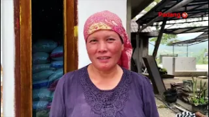 Trauma Bencana Masih Membekas, Warga Jorong Toboh Mengungsi Saat Hujan