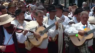 San Benito Abad Pilgrimage | PROMO 07/12/2026