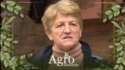 Zašto domaći plodovi gube bitku? - AGROSAZNANJE