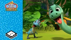 The funniest moments 😆🦖 | Dino Ranch: Island of the explorers | Boomerang Italy