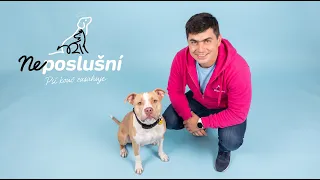 Extrémne puto sa zmenilo na problém: príbeh Laviho a Broňe | Neposlušní