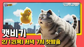 🐱캣비기🐱 | 2월 12일 목요일 저녁 7시 첫방송📺👀