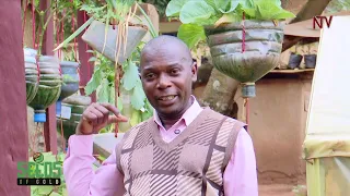 How to turn your passion in agriculture into a successful agri-business | SEEDS OF GOLD