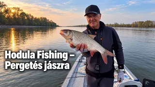 Hodula Fishing: Pergetés jászra, tavasszal a Dunán