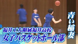 創部2年で県大会を制覇　“青い稲妻”工大福井女子バスケ部　“超速バスケ”で全国に挑む夏【インターハイ福井県勢の挑戦】