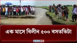 ফরিদপুরে পদ্মার ভাঙন তীব্র, এক মাসে বিলীন ৫০০ বসতভিটা | Padma River Erosion | NEWS24