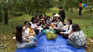 THE DURIAN SEASON IN THE CA MAU MANGROVE FOREST