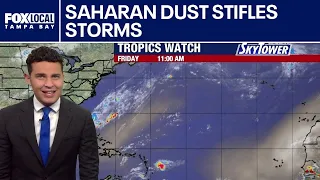 Saharan dust stifles storms