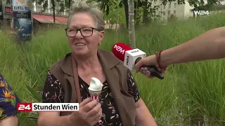 Wespenplage: Wie umgehen mit den stechenden Störenfrieden?