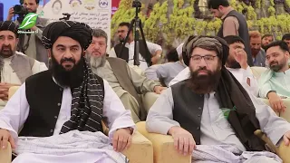 افغانستان په یو شمېر کرنیزو او مالدارۍ محصولاتو کې د ځان‌بسیاینې تر کچې رسېدلی