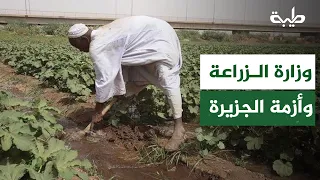 Qasim Al-Dhafir: The Ministry of Agriculture is out of touch; farmers in the Gezira Scheme are fa...