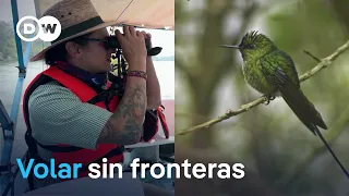 Bird Stories, Science, and Conservation - Full Program