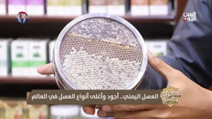 العسل اليمني.. أجود وأغلى أنوع العسل في اليمن