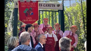 Unusual: They produce wine on the Croix-Rousse hill in Lyon