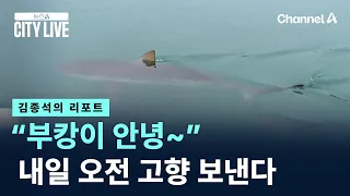 [Kim Jong-seok’s Report] “Goodbye, Bu-kang~”… Sending off to the hometown tomorrow morning / Chan...