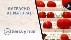 Land and Sea | All-Natural Gazpacho