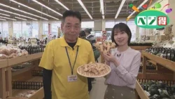 【ベジ得】新ショウガ