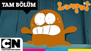 LAMPUT | Bitmeyen Kaçış | TAM BÖLÜM | @cartoonnetworkturkiye