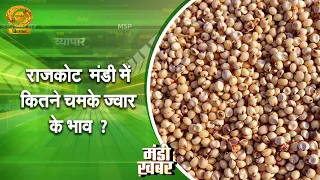 Mandi News | How Much Did Jowar Prices Rise in Rajkot Mandi? | Jowar Mandi Price | DD Kisan