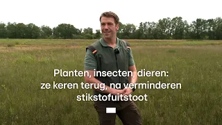 Less nitrogen leads to flourishing nature here • RTL Z