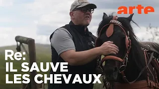 Roumanie : ce bon maréchal-ferrant | ARTE Regards