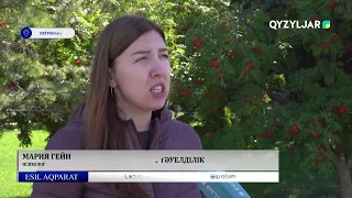 Зиянды әдеттерге тәуелділік