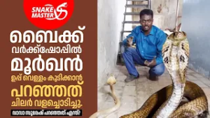 ബൈക്ക് വർക്ക്‌ഷോപ്പിൽ  മൂർഖൻ, എല്ലാവരും രക്ഷപ്പെട്ടു | Cobra Rescue | Snakemaster EP 1166