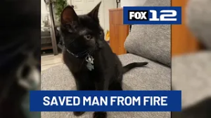 SE Portland business owner credits cat with saving his life after house fire