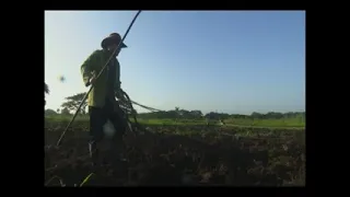 Potencia producciones alimentarias UBPC Aguadita en municipio  de Rodas