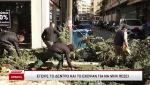 Σέρρες: Έγειρε το δέντρο και το έκοψαν για να μην πέσει