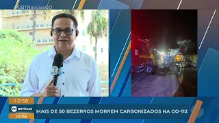 Over 50 calves die in fire on GO 112