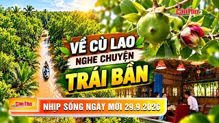 Returning to the Islet to Hear Stories of Sonneratia Fruits | New Day Rhythm 9/29/2026 | Can Tho