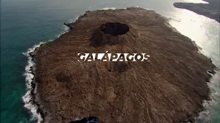 BBC Documentaries presents: Galapagos, one of the islands that changed the world | Canal Capital