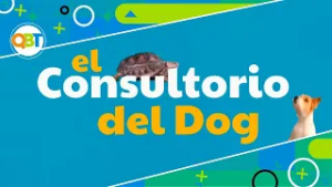 Veterinaria - Lunes 23 febrero 2026