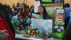 ENVIRONMENTAL FAIR