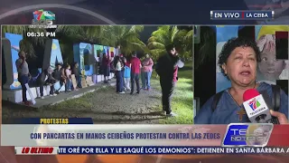 With signs in hand, a group of Ceibeños protest against the ZEDEs