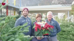 RITRATTI DI GUSTO - Floricoltura Roncador