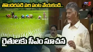 రైతులకు ప్రభుత్వం కీలక హెచ్చరిక..Cm Chandrababu Key Instructions To Formers | Dont plant rice |TV5