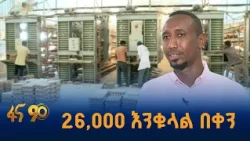 በትንሽ ቦታ ብዙ ዶሮ የያዘ…